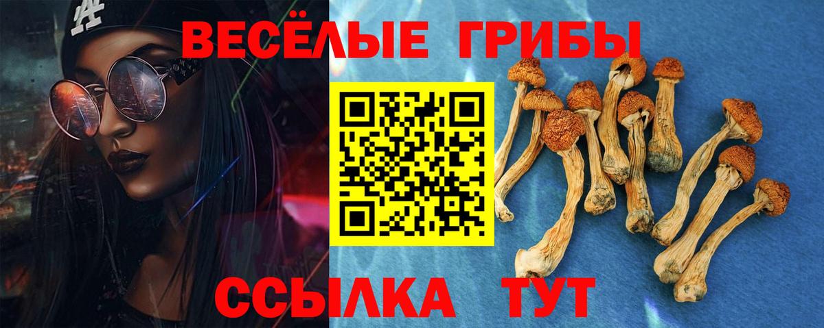 Саров  Галлюциногенные грибы мицелий  Вход с VPN 