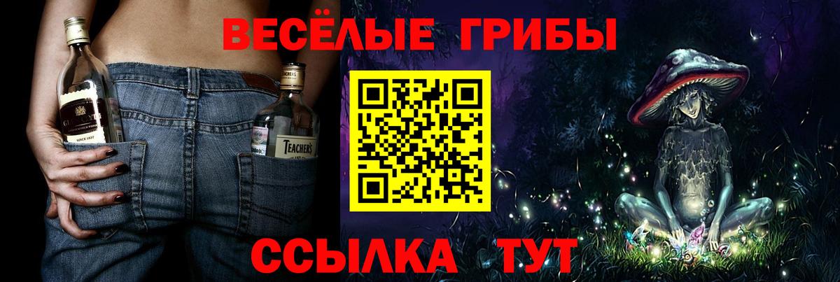 Галлюциногенные грибы Psilocybine cubensis Саров